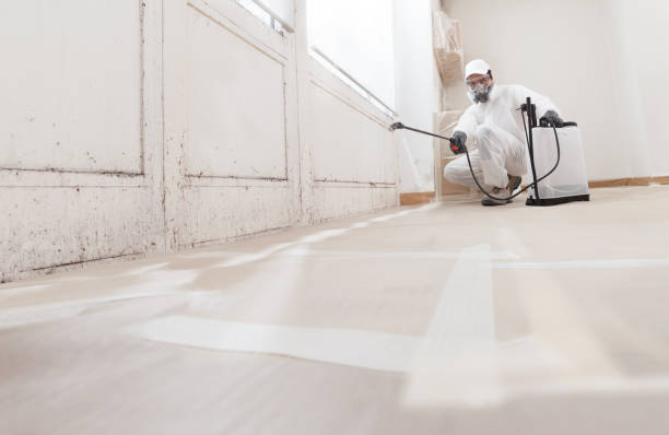24/7 Emergency Basement Mold Removal experts in Lowell, NC