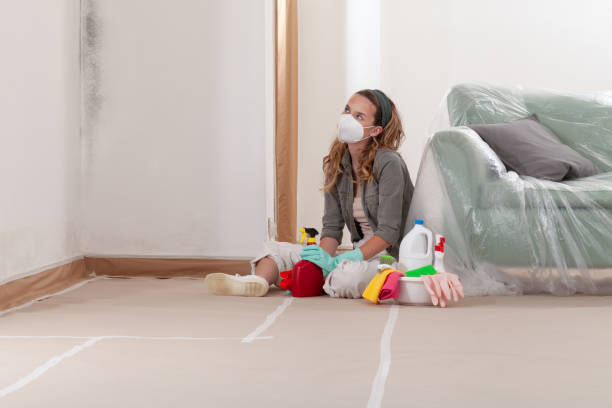 Reliable Basement Mold Removal contractor in Lowell, NC by WQB Mold Removal