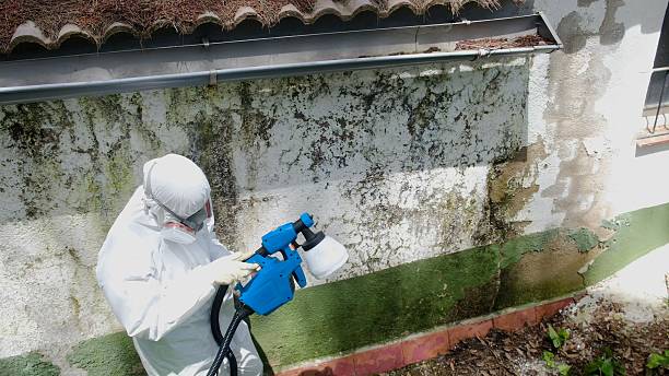 Top rated local Basement Mold Removal specialists in Lowell, NC